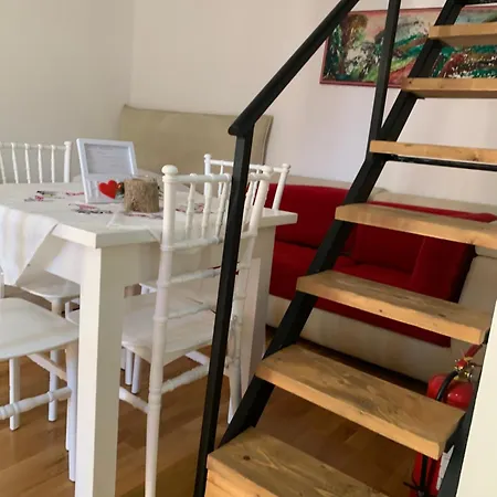 And Cozy X4 Victoria 2